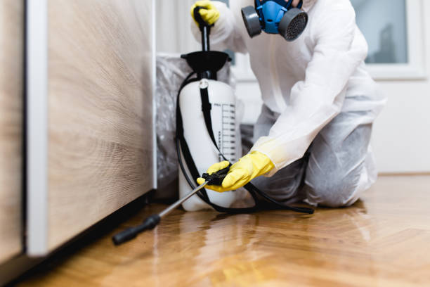 Best Affordable Pest Control Services  in Troy Hills, NJ