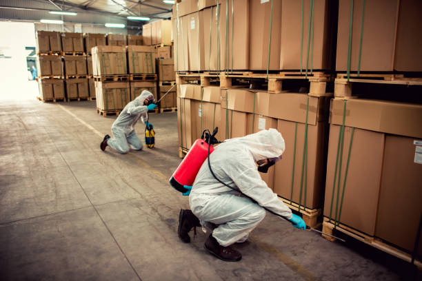Best Flea Control Services  in Troy Hills, NJ