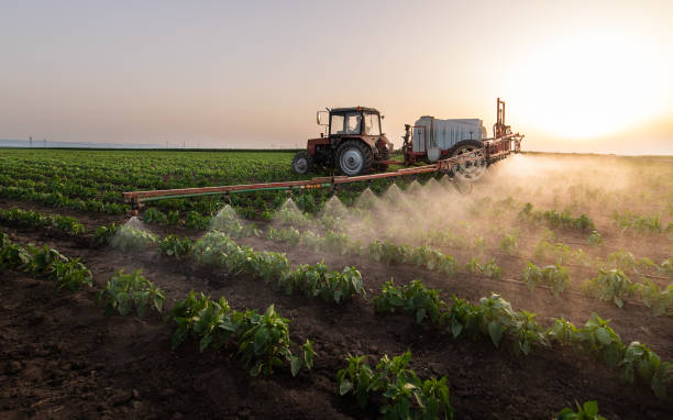 Best Mosquito Control Services  in Troy Hills, NJ