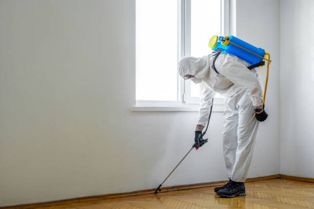 Best Ant Control Services  in Troy Hills, NJ