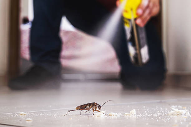 Best Pest Control for Homes  in Troy Hills, NJ