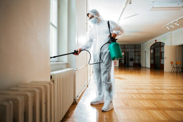 Best Wasp Removal Services  in Troy Hills, NJ