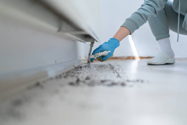 Best Pest Control Near Me  in Troy Hills, NJ